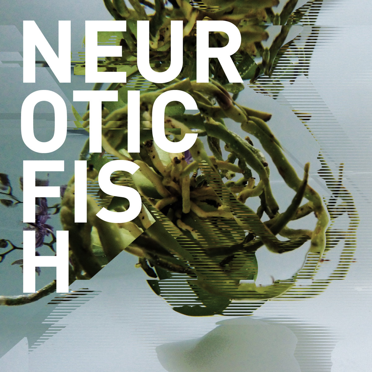 Neuroticfish - Agony